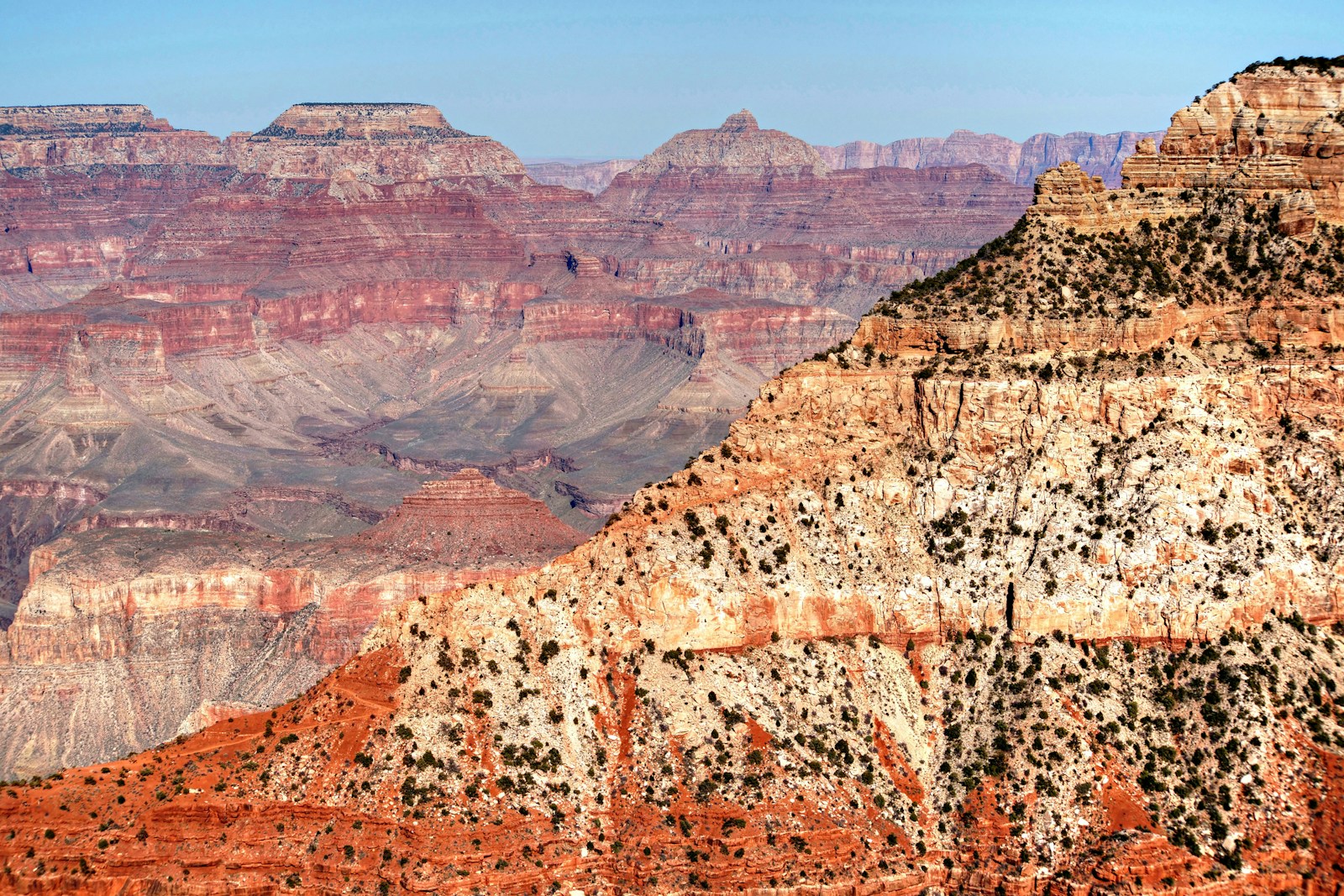 Grand Canyon visto do South Rim